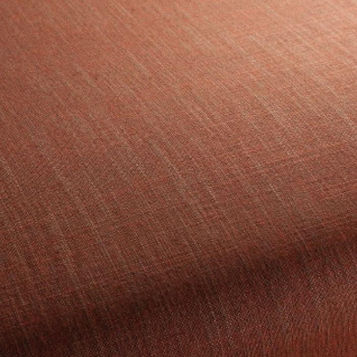 Carlucci two tone 44 product detail