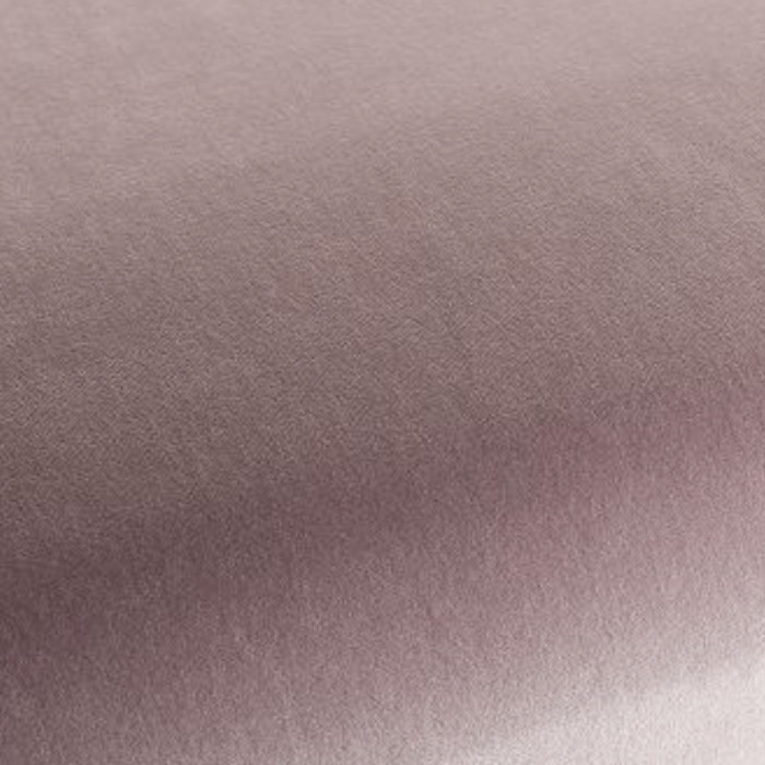 Carlucci di cotone 35 product detail