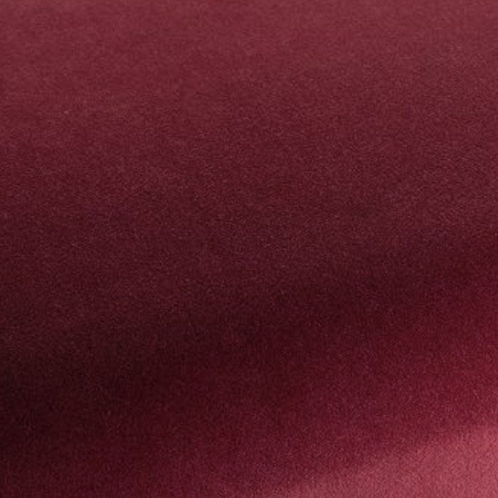 Carlucci di cotone 53 product detail