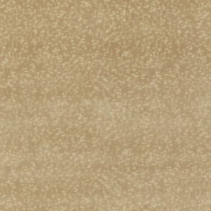 Gpjbaker coromandel 2 product listing