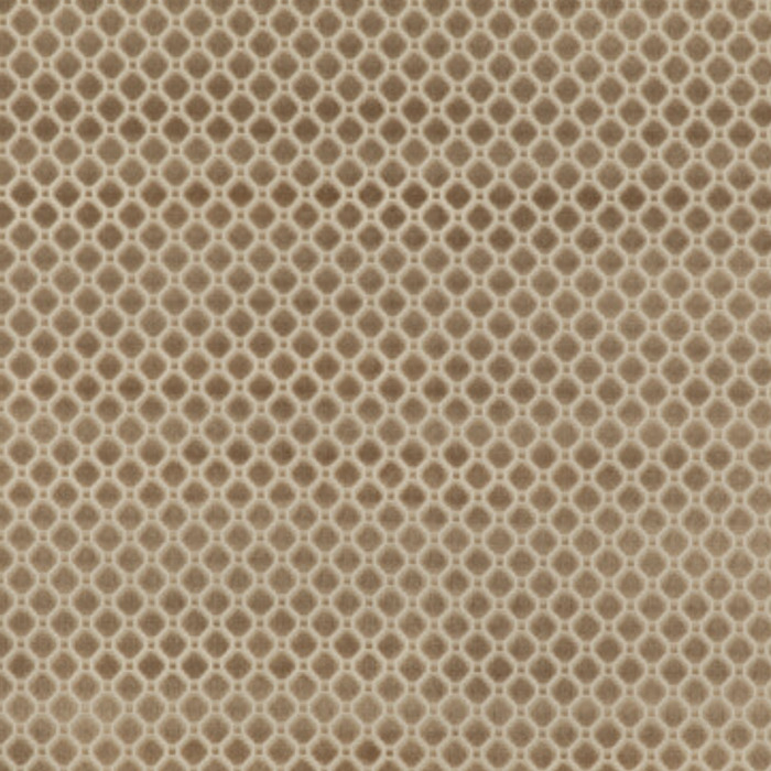 Gpjbaker coromandel 31 product detail