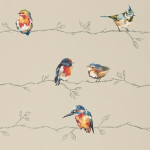 Harlequin wallpaper standing ovation 21 product listing