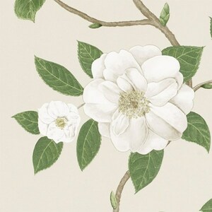 Sanderson wallpaper discovery 5 product listing