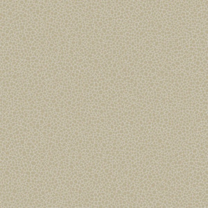 Cole and son wallpaper curio 6 product listing