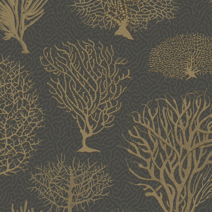 Cole and son wallpaper curio 27 product detail