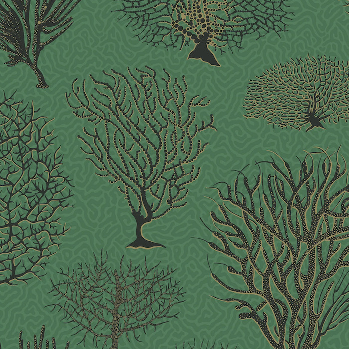 Cole and son wallpaper curio 28 product detail