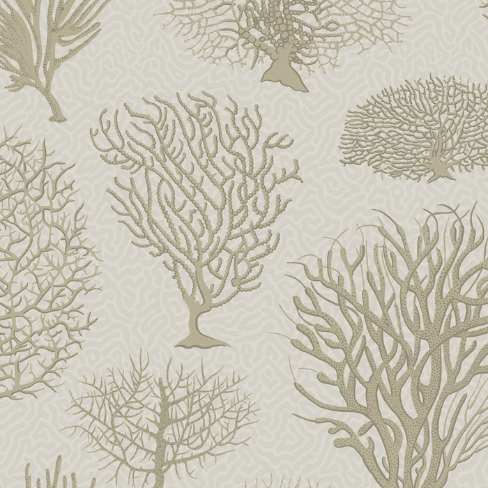 Cole and son wallpaper curio 31 product detail