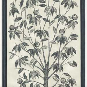 Cole and son wallpaper martyn lawrence 30 product listing