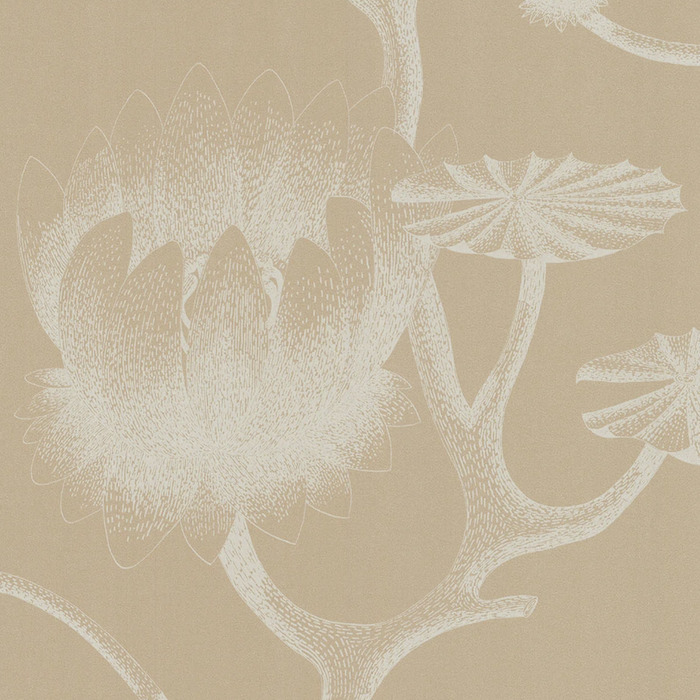 Cole and son wallpaper contemporary 30 product detail