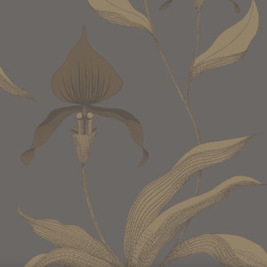 Cole and son wallpaper contemporary 67 product listing