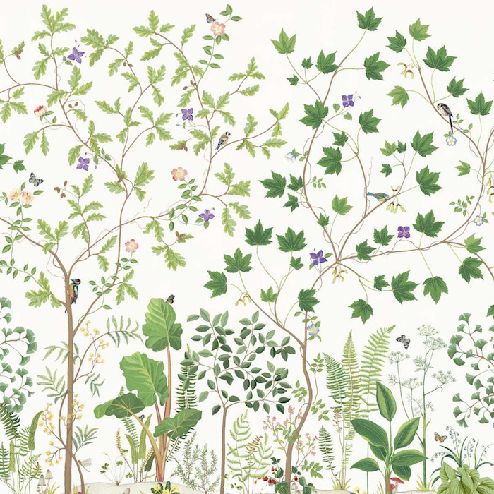Sanderson arboretum wallpaper 37 product detail
