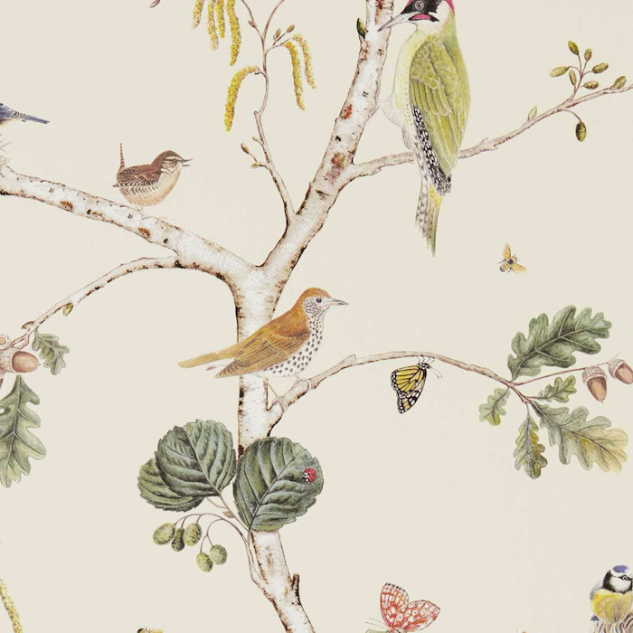 Sanderson arboretum wallpaper 47 product detail