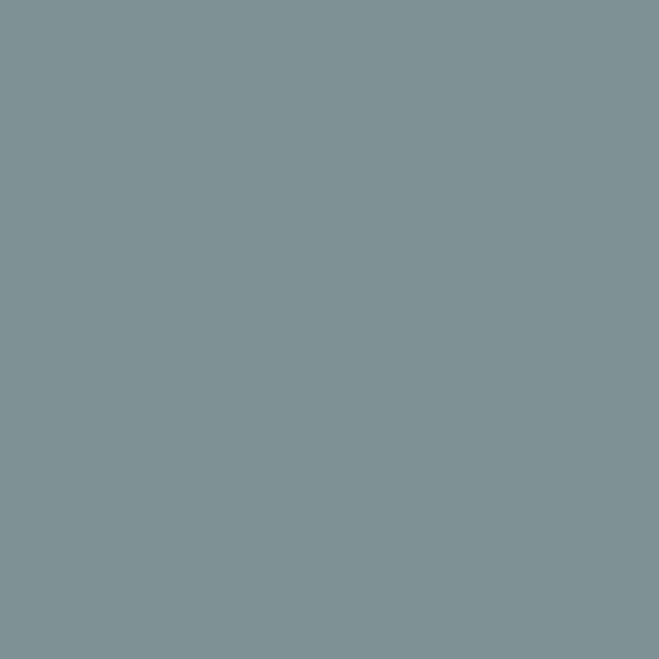 Morrison co paint river wandle product detail