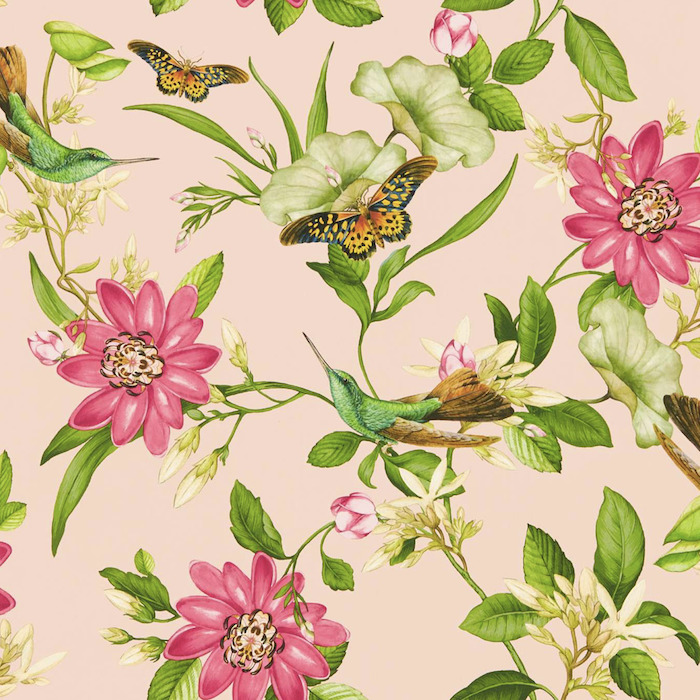 Clarke and clarke wallpaper botanical wonders 13 product detail