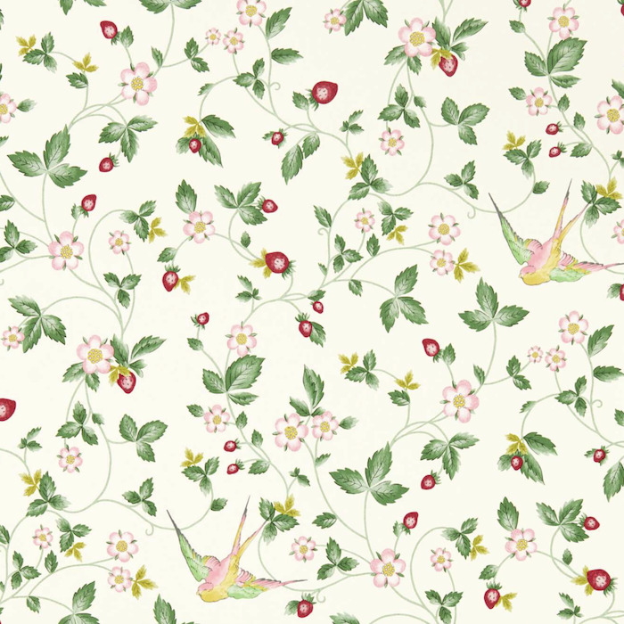 Clarke and clarke wallpaper botanical wonders 31 product detail