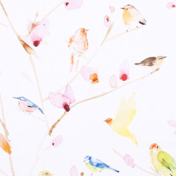 Jab birds 2 product detail