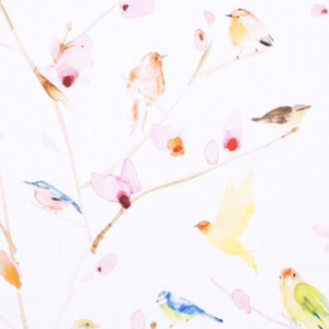 Jab birds 2 product listing