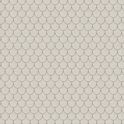 Jab scandola 4 product detail