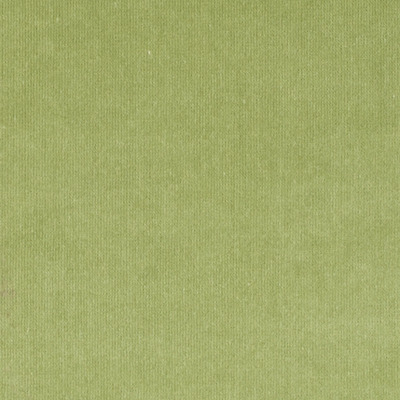 Jab tizian 19 product detail