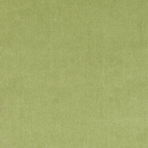 Jab tizian 19 product listing