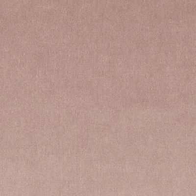 Jab tizian 32 product detail