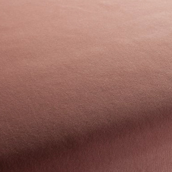 Jab velluto 52 product detail