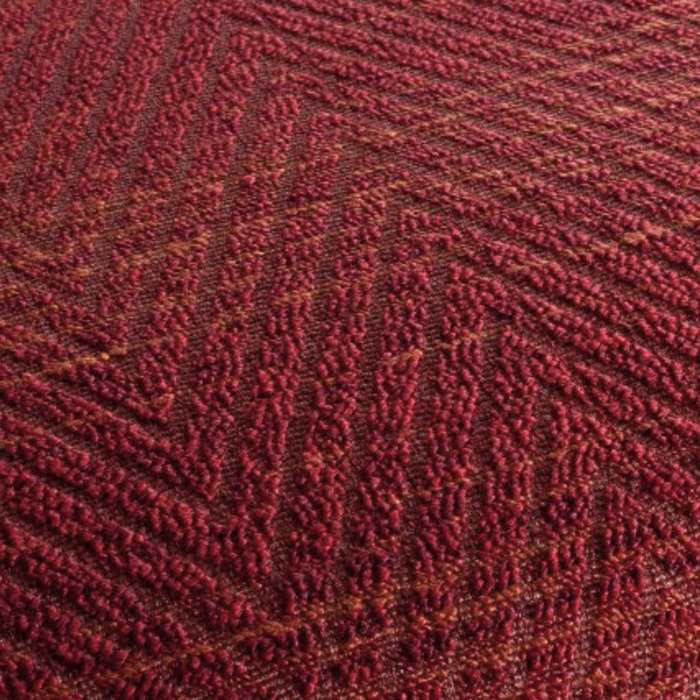 Labrador1 product detail