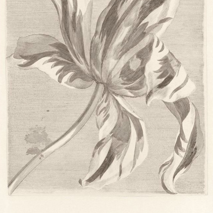 Eijffinger masterpiece wallpaper 45 product detail