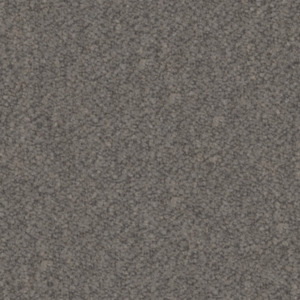 Warwick everest 14 product listing