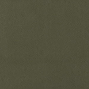 Warwick cabro fabric 10 product listing