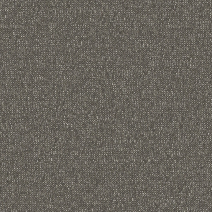 Warwick eiger 2 product detail