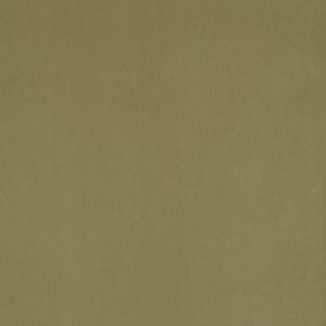 Warwick plush velvet fabric 14 product detail