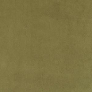 Warwick plush velvet fabric 38 product listing