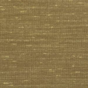 Warwick sari fabric 40 product listing