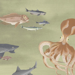 Nobilis wallpaper grand angle 9 product listing