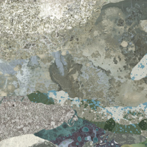 Nobilis wallpaper grand angle 22 product listing