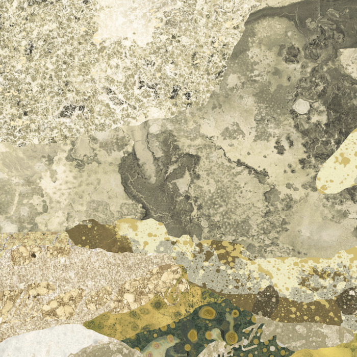 Nobilis wallpaper grand angle 23 product detail
