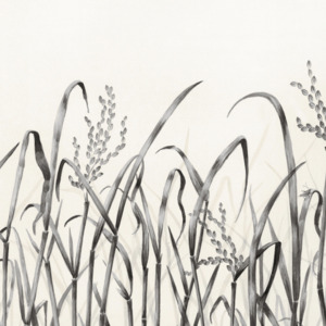 Nobilis wallpaper panorama 8 product listing
