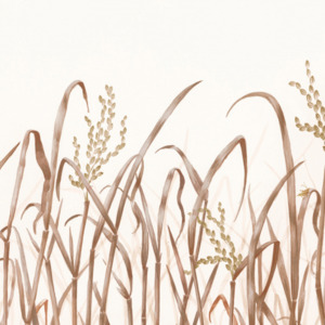 Nobilis wallpaper panorama 9 product listing