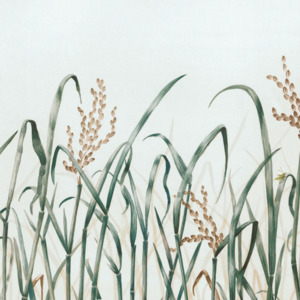 Nobilis wallpaper panorama 10 product listing