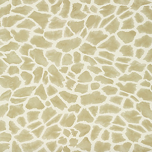 Thibaut colony wallpaper 29 product detail