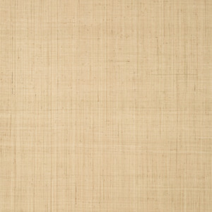 Thibaut indienne wallpaper 5 product listing