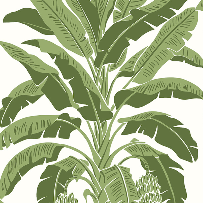 Thibaut palm grove wallpaper 1 product detail