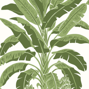 Thibaut palm grove wallpaper 1 product listing