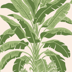 Thibaut palm grove wallpaper 4 product listing