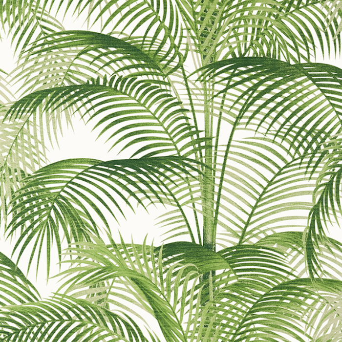 Thibaut palm grove wallpaper 26 product detail