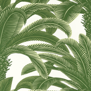 Thibaut palm grove wallpaper 42 product listing