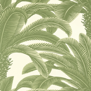 Thibaut palm grove wallpaper 46 product listing