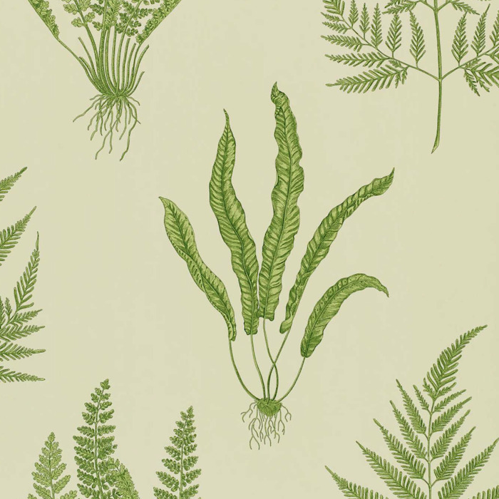 Sanderson one sixty wallpaper 77 product detail