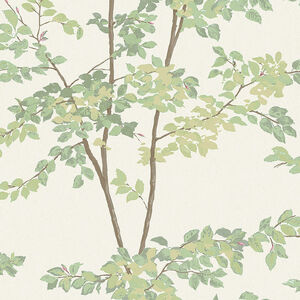 Lewis and wood wallpaper beech 7 product listing